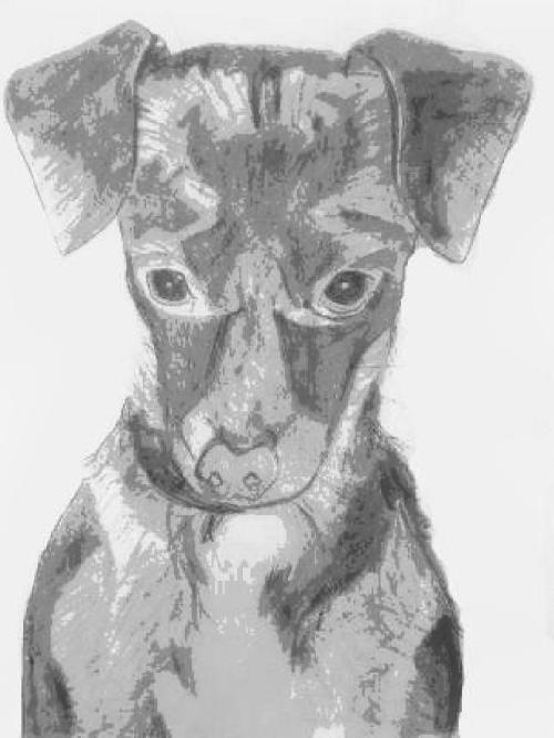 <img500*0:stuff/aj/183221/1268535198.jpg>