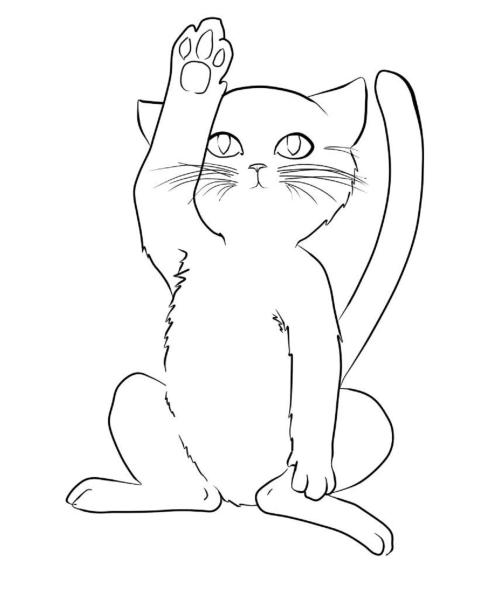 <img500*0:stuff/aj/183221/1275102128.jpg>
