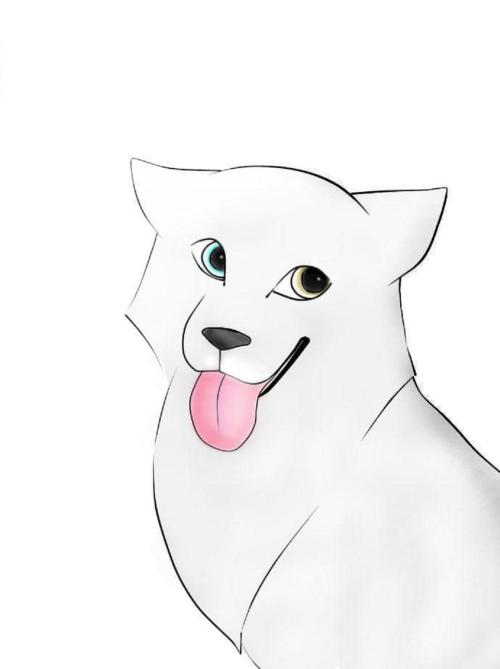 <img500*0:stuff/aj/183221/1278395730.jpg>