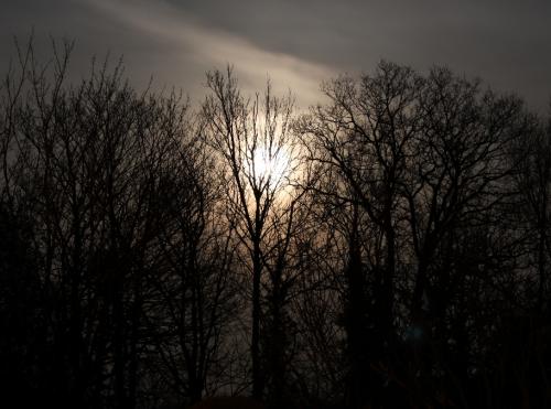 <img500*0:stuff/aj/184889/AL_Sunrise1.jpg>