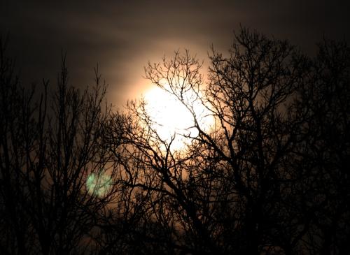 <img500*0:stuff/aj/184889/AL_Sunrise2.jpg>