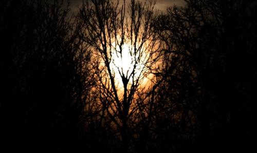 <img500*0:stuff/aj/184889/AL_Sunrise3.jpg>