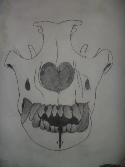 <img400*0:stuff/aj/185702/1308778301.jpg>
