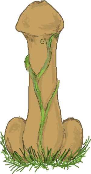 <img300*0:stuff/aj/186536/A-Herma.png>