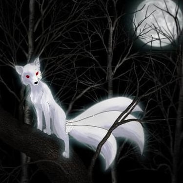 <img:stuff/aj/186786/shiome.7.jpg>