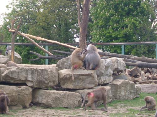 <img500*0:stuff/aj/187190/1274383518.jpg>