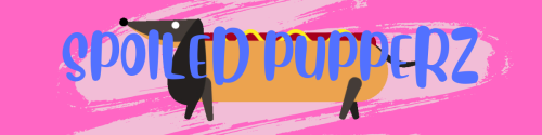 <img500*0:stuff/aj/187551/1644524517.png>