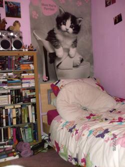 <img250*0:http://elftown.heddate.com/stuff/aj/188881/%27My%20own%20space%27.jpg>