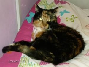 <img300*0:http://elftown.heddate.com/stuff/aj/188881/1307580865.jpg>