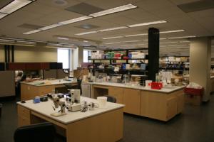 <img300*0:stuff/aj/189486/1361920536.jpg>