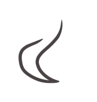 <img200*0:stuff/aj/189486/1509757039.png>