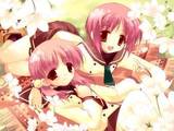 <img:stuff/aj/190343/1358673221.jpg>