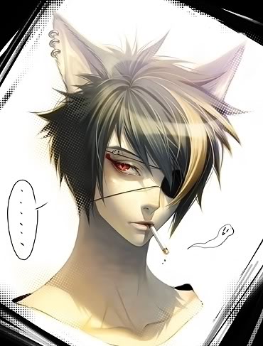 <img:stuff/aj/190343/1362970860.jpg>