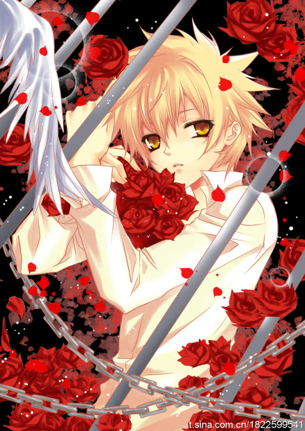 <img:stuff/aj/190343/1365991297.jpg>