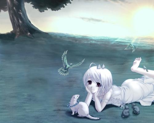 <img500*0:stuff/aj/190343/1378405088.jpg>