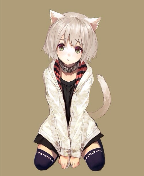 <img:stuff/aj/190343/1470105874.jpg>