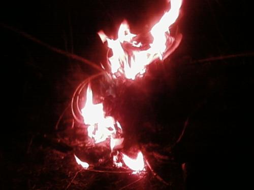 <img500*0:stuff/aj/190782/1302345156.jpg>