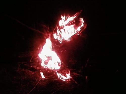 <img500*0:stuff/aj/190782/1302345166.jpg>