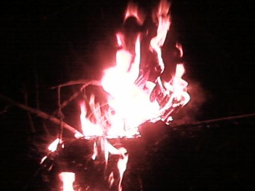 <img500*0:stuff/aj/190782/1302345189.jpg>