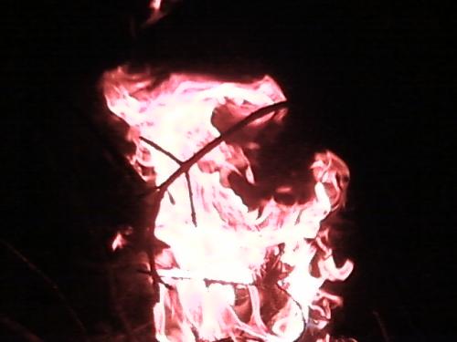 <img500*0:stuff/aj/190782/1302345208.jpg>