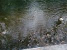 <img0*100:http://elftown.heddate.com/stuff/aj/190782/1302856458.jpg>