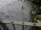 <img0*100:http://elftown.heddate.com/stuff/aj/190782/1302856472.jpg>