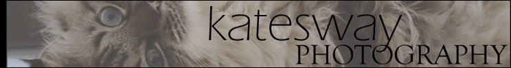 <img:stuff/aj/193049/1354853311.png>