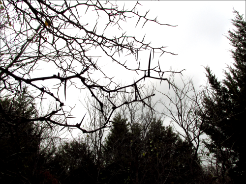 <img500*0:stuff/aj/193049/1355555381.png>