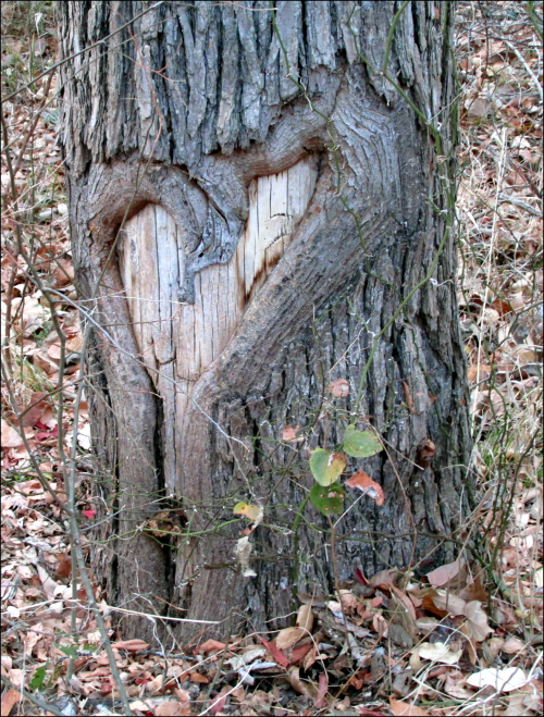 <img500*0:stuff/aj/193049/1355818704.png>