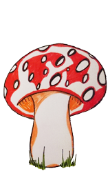 <img:stuff/aj/194019/1580935033.png>