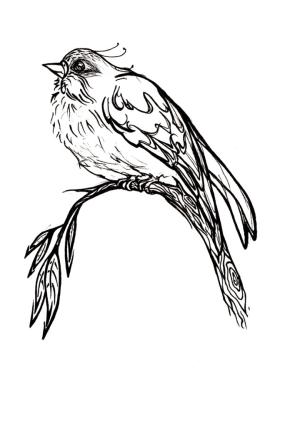 <img300*0:stuff/aj/20591/1249595690.jpg>