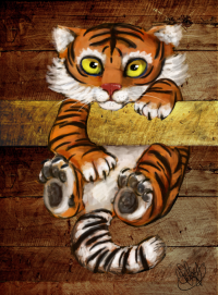 <img200*0:stuff/aj/20695/1267336263.png>