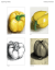 <img50*0:http://elftown.heddate.com/stuff/aj/20695/1270530287.png>
