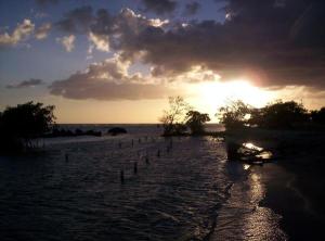 <img300*0:stuff/aj/22142/Sunset%20at%20the%20Beach..jpg>