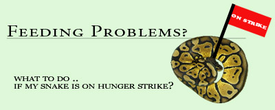 <img:stuff/aj/24454/1237035415.jpg>