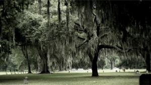<img300*0:stuff/aj/24832/1258625202.jpg>