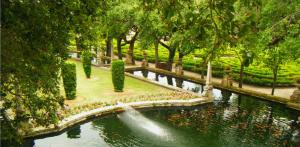 <img300*0:stuff/aj/24832/1258625380.jpg>