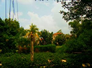 <img300*0:stuff/aj/24832/1258625394.jpg>