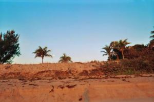 <img300*0:stuff/aj/24832/1258628986.jpg>