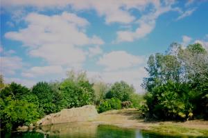 <img300*0:stuff/aj/24832/1258629170.jpg>