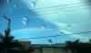 <img100*0:stuff/aj/24832/1290253573.jpg>