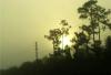 <img100*0:stuff/aj/24832/1290683551.jpg>