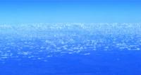 <img200*0:stuff/aj/24832/1290684135.jpg>