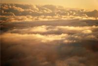 <img200*0:stuff/aj/24832/1290684327.jpg>