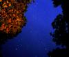 <img100*0:stuff/aj/24832/1291644912.jpg>