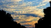 <img200*0:stuff/aj/24832/1291644972.jpg>