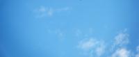 <img200*0:stuff/aj/24832/1291645671.jpg>