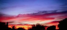 Sky Watch