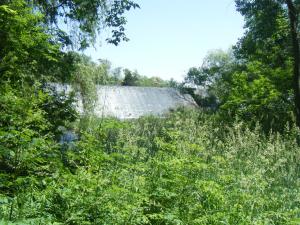 <img300*0:stuff/aj/25313/1244503905.jpg>