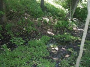 <img300*0:stuff/aj/25313/1244504070.jpg>
